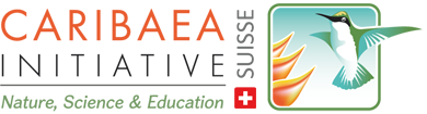 Caribaea Initiative – Suisse